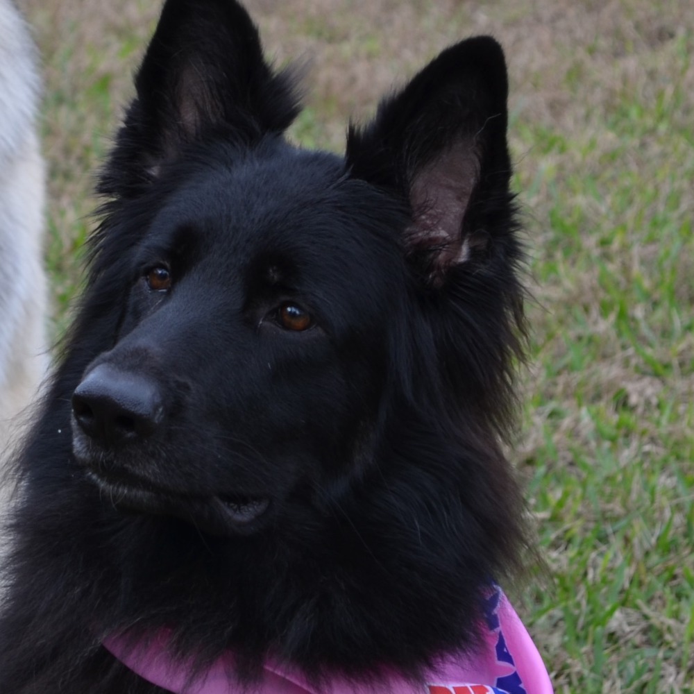 Meet your Posher, Linda